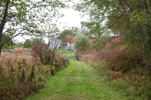 grounds 
