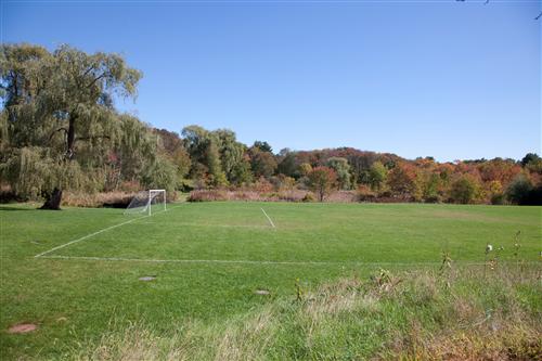 field 