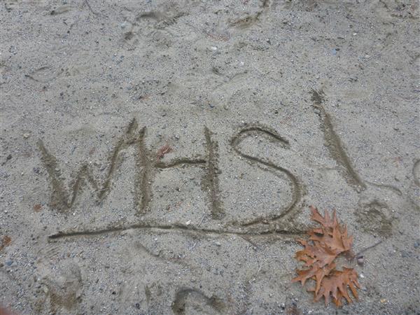whs